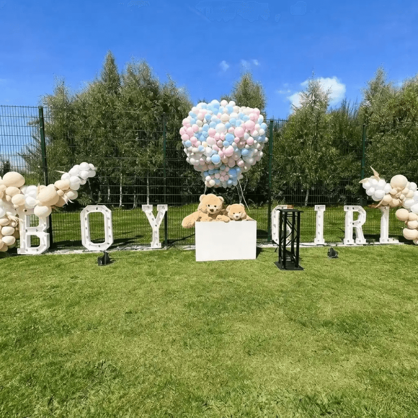 Gender reveal bundel